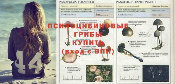 кокаин колумбия Кукмор