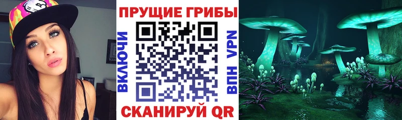 Купить закладки  Кудрово  Псилоцибиновые грибы ЛСД 